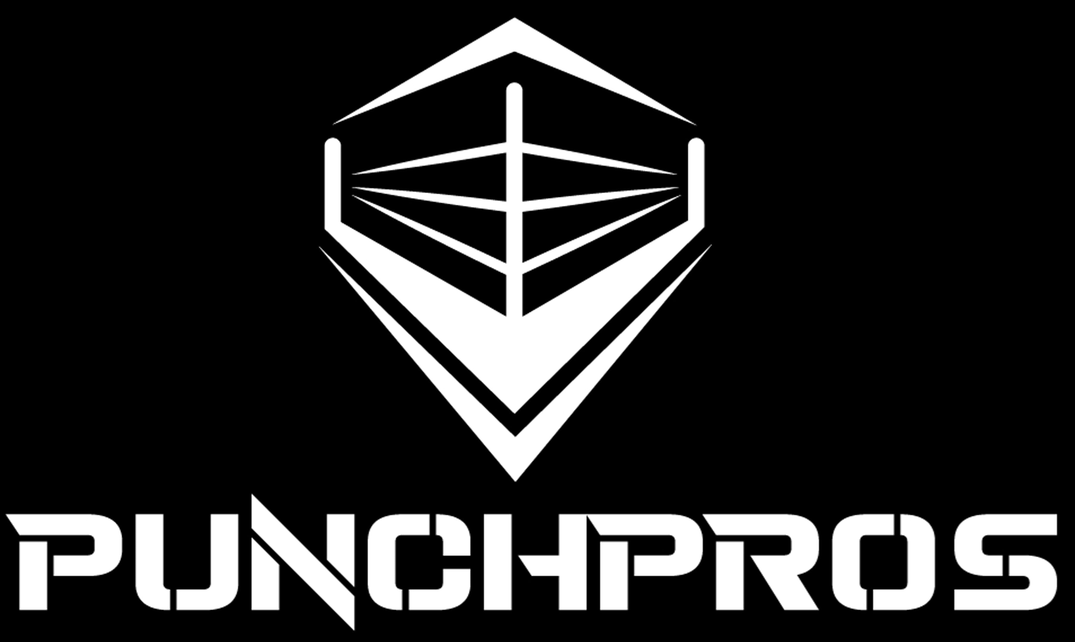 PUNCHPROS